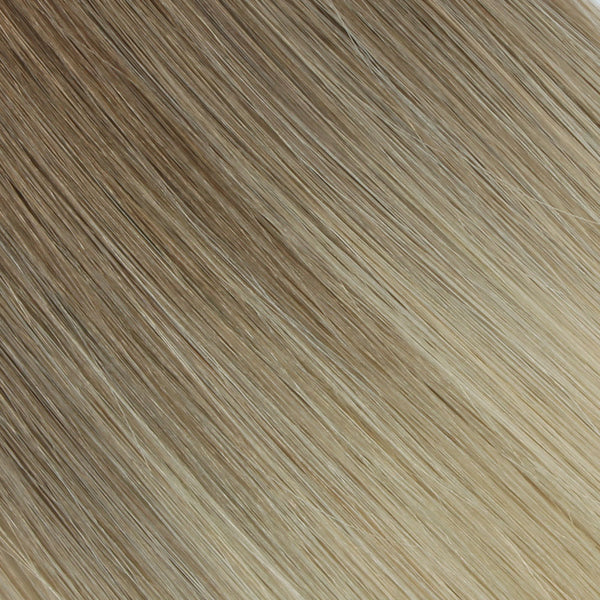 ombre brown/ash blonde #6/60